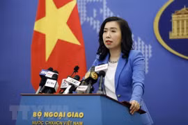 Việt Nam phản đối mạnh mẽ việc thành lập cái gọi là thành phố Tam Sa