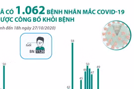 [Infographics] 1.062 bệnh nhân mắc COVID-19 được công bố khỏi bệnh