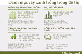 Hà Nội lên kế hoạch trồng mới nửa triệu cây giai đoạn năm 2021-2025