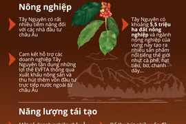 Doanh nghiệp châu Âu quan tâm đầu tư lĩnh vực gì ở Tây Nguyên?