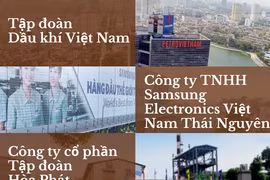 [Infographics] 10 doanh nghiệp lợi nhuận tốt nhất Việt Nam năm 2022