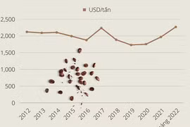 [Infographics] Giá xuất khẩu càphê Việt Nam 8 tháng năm 2022 tăng 21%