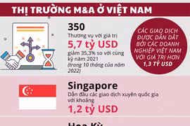 [Infographics] Sôi nổi thị trường mua bán và sáp nhập tại Việt Nam