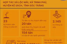 Vú sữa tím Sóc Trăng khẳng định thương hiệu tại thị trường Mỹ