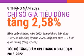 [Infographics] Chỉ số giá tiêu dùng 8 tháng năm 2022 tăng 2,58% 
