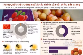 Trung Quốc: Thị trường xuất khẩu chính của vải thiều Bắc Giang