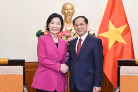 Phó Thủ tướng Chính phủ, Bộ trưởng Bộ Ngoại giao Bùi Thanh Sơn tiếp Bộ trưởng Doanh nghiệp vừa và nhỏ và khởi nghiệp Hàn Quốc Oh Young Ju. (Ảnh: TTXVN phát)