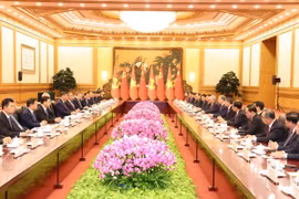 Tổng Bí thư, Chủ tịch nước Tô Lâm hội đàm với Tổng Bí thư, Chủ tịch nước Trung Quốc Tập Cận Bình. (Ảnh: Trí Dũng/TTXVN)
