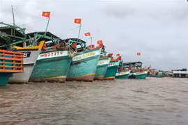 Cà Mau có đội tàu khai thác thủy hải sản lớn, với sản lượng bình quân trên 200.000 tấn/năm. (Ảnh: Thế Anh/TTXVN)