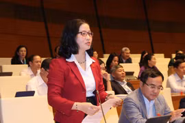 Đại biểu Quốc hội thành phố Hà Nội GS.TS Nguyễn Thị Lan, Giám đốc Học viện Nông nghiệp Việt Nam, phát biểu ý kiến tại phiên thảo luận về kế hoạch phát triển kinh tế - xã hội và ngân sách nhà nước năm 2020. (Ảnh: Doãn Tấn/TTXVN)