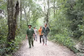 Anh Dương Xuân Kiếm (áo xanh, đi đầu) tại thôn 4, xã Đắk Jơ Ta (Mang Yang, Gia La) thuộc Ban Quản lý rừng phòng hộ Hà Ra tuần tra diện tích rừng nhận giao khoán. (Ảnh: Hồng Điệp/TTXVN)
