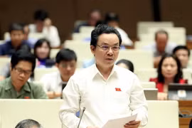Đại biểu Quốc hội thành phố Hà Nội Hoàng Văn Cường phát biểu. (Ảnh: TTXVN)