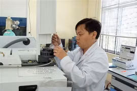 Tiến sỹ Đoàn Lê Hoàng Tân làm việc trong phòng thí nghiệm. (Ảnh: Thu Hoài/TTXVN)