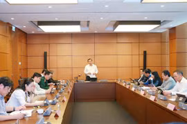 Đoàn Đại biểu Quốc hội các tỉnh Quảng Nam, Bạc Liêu, Cà Mau thảo luận tại tổ. (Ảnh: Phương Hoa/TTXVN)