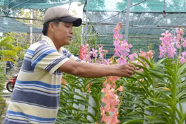 Ảnh minh họa. (Nguồn: TTXVN)