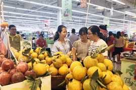 Nhiều đặc sản của các tỉnh, thành phía Bắc được quảng bá, giới thiệu vào thị trường Thành phố Hồ Chí Minh. (Ảnh: Mỹ Phương/TTXVN)