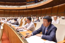 Đại biểu Quốc hội biểu quyết thông qua Nghị quyết về dự toán ngân sách nhà nước năm 2019. (Ảnh: Phương Hoa/TTXVN)