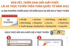 Xem xét, triển khai đổi giấy phép lái xe trực tuyến trên toàn quốc 