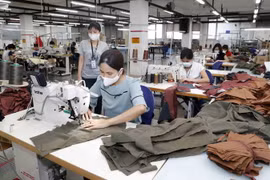 May hàng xuất khẩu sang thị trường Mỹ. (Ảnh: Trần Việt/TTXVN)