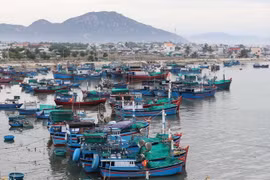 Tàu thuyền neo đậu an toàn tại cảng. (Ảnh: Công Thử/TTXVN)