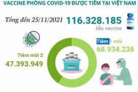Hơn 116,32 triệu liều vaccine phòng COVID-19 đã được tiêm ở Việt Nam