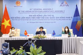 Các nữ nghị sỹ Quốc hội Việt Nam chào đại biểu quốc tế. (Ảnh: Doãn Tấn/TTXVN)