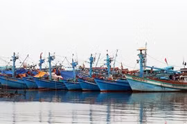 Tàu cá neo đậu trên vùng biển thành phố Rạch Giá (Kiên Giang). (Ảnh: Lê Huy Hải/TTXVN)