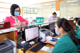 (Ảnh minh họa: Hữu Quyết/TTXVN)