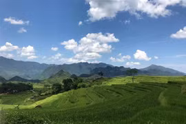Bản Đôn (xã Thành Lâm, huyện Bá Thước) cuốn hút du khách ngay từ những khung cảnh thiên nhiên đầu tiên với những thửa ruộng bậc thang ngút tầm mắt, những nếp nhà sàn nằm ven chân đồi giữa những tán rừng xanh mát. (Ảnh Hoa Mai/TTXVN)