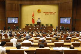 Quang cảnh phiên họp. (Ảnh: Doãn Tấn/TTXVN)