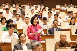 Đại biểu Quốc hội thành phố Hà Nội Trần Thị Quốc Khánh phát biểu. (Ảnh: Phương Hoa/TTXVN)