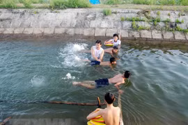 (Ảnh minh hoạ: TTXVN)