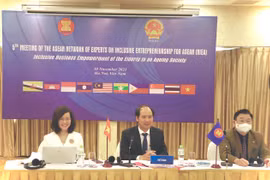 Cuộc họp lần thứ 5 của Mạng lưới các chuyên gia về Doanh nghiệp hòa nhập ASEAN do Bộ Lao động-Thương binh và Xã hội tổ chức. (Ảnh: PV/Vietnam+)