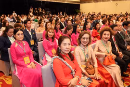 Khoảng 400 kiều bào đã về nước tham dự Hội nghị Người Việt Nam ở nước ngoài lần thứ Tư. (Ảnh: Minh Sơn/Vietnam+)