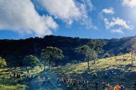 Hoạt động trekking (đi bộ đường dài) trên Vườn Quốc gia Núi Chúa. (Ảnh: PV/Vietnam+)