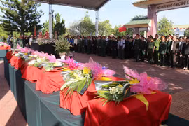 (Ảnh minh họa: Dư Toán/TTXVN)