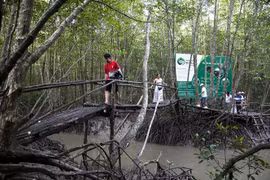 Du khách tham gia tour xuyên rừng Đất Mũi Cà Mau. (Ảnh: Hồng Đạt/TTXVN)