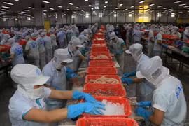 Chế biến cá tra fillet đông lạnh xuất khẩu tại Đồng Tháp. (Ảnh: Nhựt An/TTXVN)