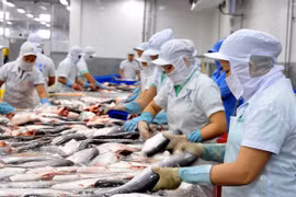 Hoạt động của doanh nghiệp chế biến thủy sản. (Nguồn: TTXVN)