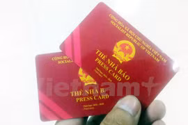 Ảnh minh họa. (Nguồn: Vietnam+)