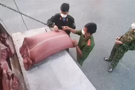 Lực lượng chức năng kiểm tra số lượng hàng hóa được vận chuyển trên xe các tải. (Ảnh: TTXVN phát)