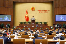 Bộ trưởng Bộ Kế hoạch và Đầu tư Nguyễn Chí Dũng trả lời nhóm vấn đề lĩnh vực kế hoạch và đầu tư. (Ảnh: Doãn Tấn/TTXVN)