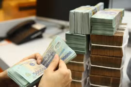 Ảnh minh họa. (Nguồn: Vietnam+)