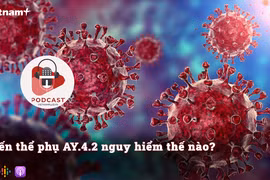 [Audio] Biến thể phụ AY.4.2 của Delta nguy hiểm như thế nào?