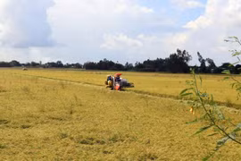 Thu hoạch lúa Hè Thu 2020 ở xã Mỹ Hiệp Sơn, huyện Hòn Đất (Kiên Giang) thuộc vùng dự án VnSAT. (Ảnh: Lê Huy Hải/TTXVN)