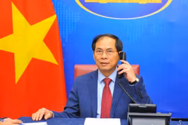 Bộ trưởng Ngoại giao Việt Nam Bùi Thanh Sơn. (Ảnh: Minh Đức/TTXVN)