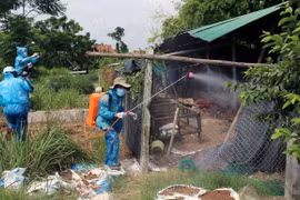 Tiêu độc khử trùng trại gà bị chết do bệnh dịch H5N6. (Ảnh: Thế Lập/TTXVN)