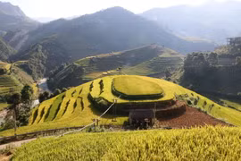 Vẻ đẹp Đồi Mâm Xôi tại xã La Pán Tẩn (Mù Cang Chải). (Ảnh: Việt Dũng/TTXVN)
