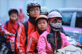 Ảnh chỉ có tính minh họa. (Nguồn: Vietnam+)