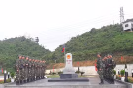 Ảnh minh họa. (Nguồn: TTXVN)